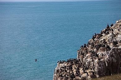 《鬼灭之刃：火神血风谭2》M站均分76 IGN7分称合格续作！