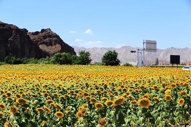 《Ultimate Ragdoll Game》登陆Steam 好评沙盒创意构建